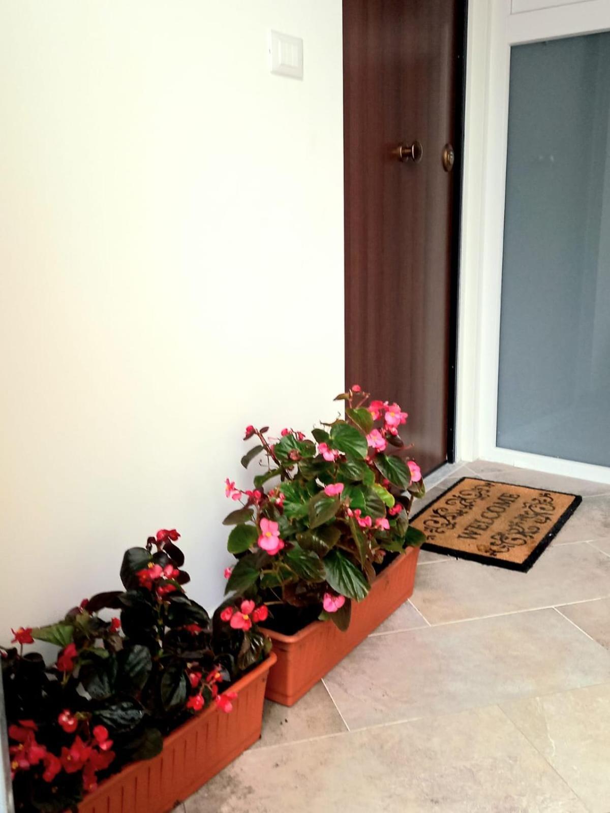 Casa Delle Begonie Appartement Rome Buitenkant foto